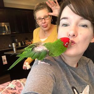 Meet your Posher, Lisa-marie